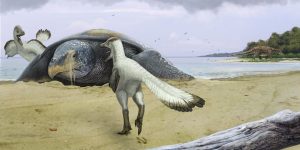 Протостега и дромеозавры