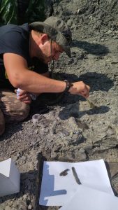 В геопарке «Ундория» обнаружено сразу два скелета ихтиозавров (1)